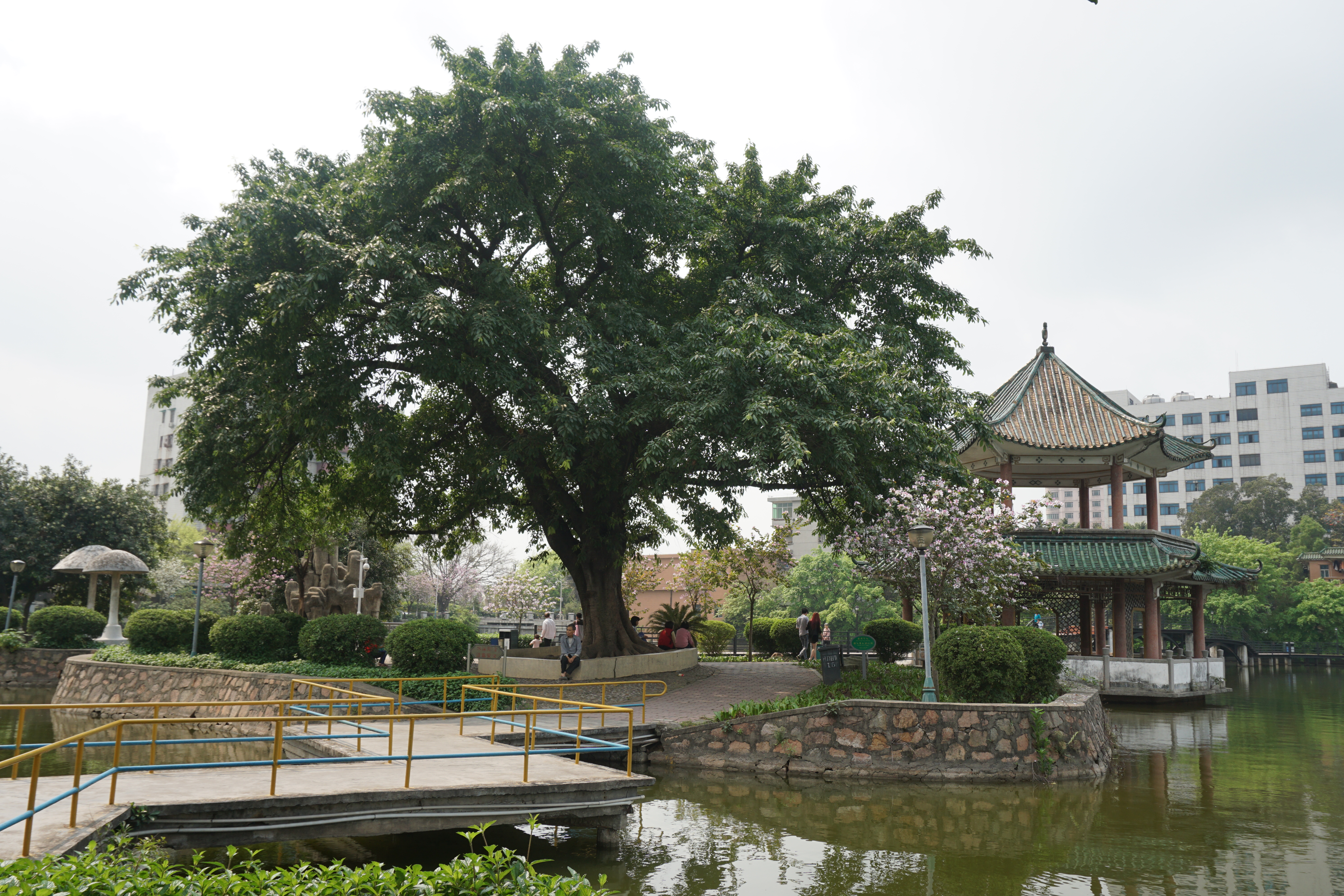 秀全公園配圖3.JPG