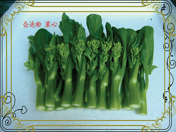 會達無公害蔬菜