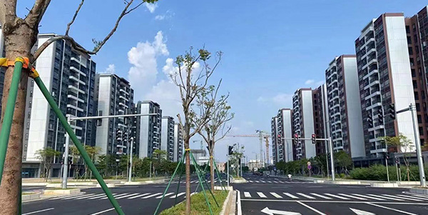 平石路（蓮山路至G106）通車