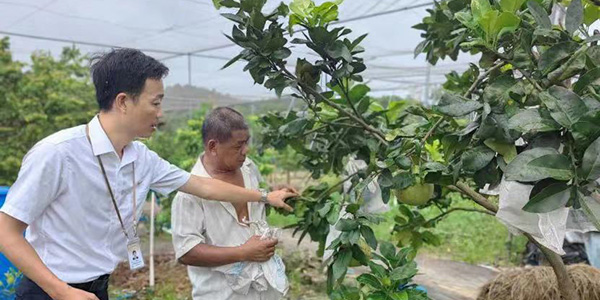 花都“金融村官”登上《人民日報》