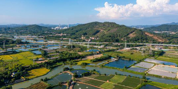 喜訊：我區赤坭、花山鎮   入選廣東省第二批專業鎮