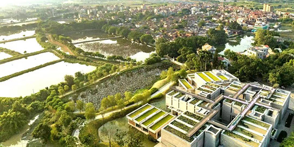 花都塱頭古村喜奪全國大獎