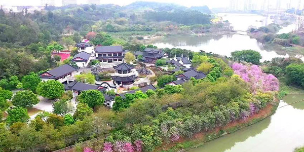 4條花都精品路線    解鎖灣區北新玩法