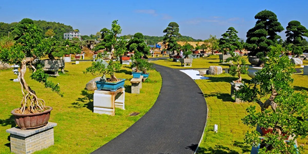 村美 民富 產(chǎn)業(yè)活   以“百千萬(wàn)工程”為筆 繪就城鄉(xiāng)融合新畫卷