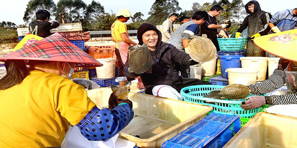 花都赤坭鎮(zhèn)：人歡魚躍好“豐景”