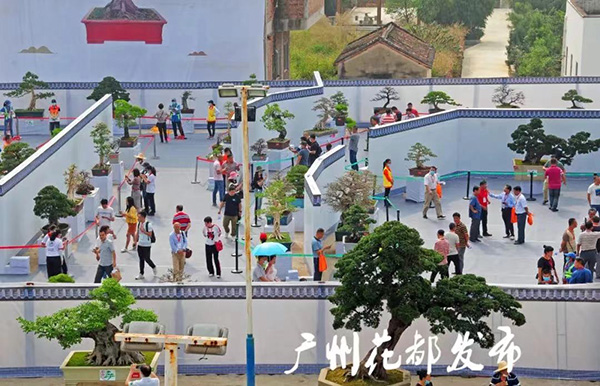 花都小盆景 致富大產業