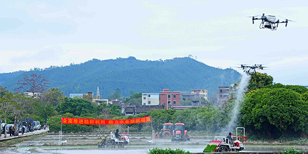 花都區啟動2025年春耕工作   體驗現代農業“科技盛宴”