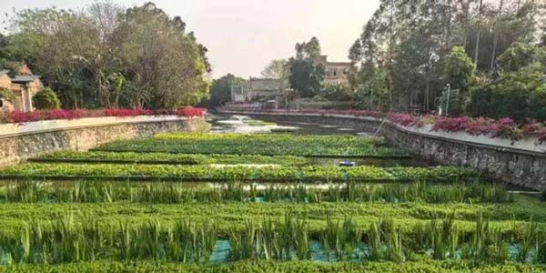 清單化管理+精準施策  花都筑牢十五運生態屏障