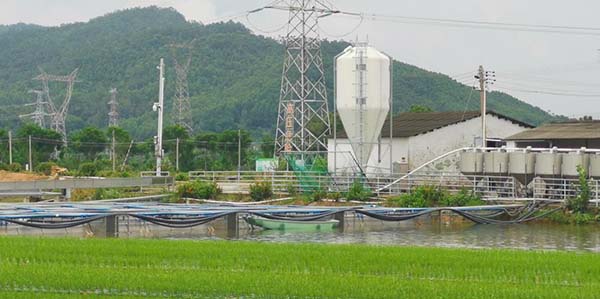 赤坭鎮探路養殖尾水治理新范式  破解農企瓶頸 賦能綠色循環
