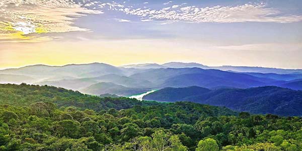 首創！花都九灣潭林場碳普惠    賦能全運碳中和