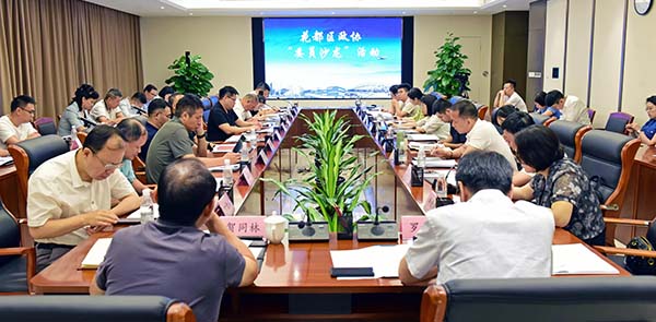 區政協“委員沙龍”    探索花都低空經濟發展新路徑