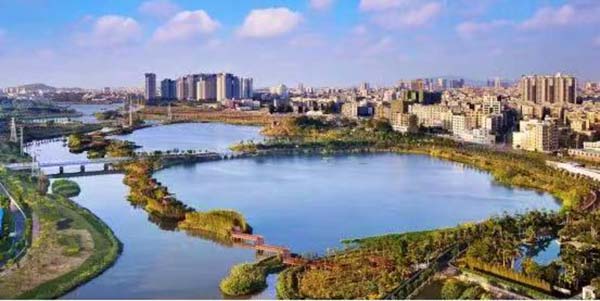 向綠而行，協同增效   花都繪就減污降碳“生態長卷”