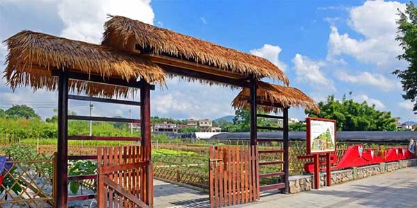 花都區花城村入選中組部紅色美麗村莊建設名單    紅色文化綻放新光彩