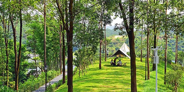 華南地區(qū)首家   高端民宿落戶花都梯面