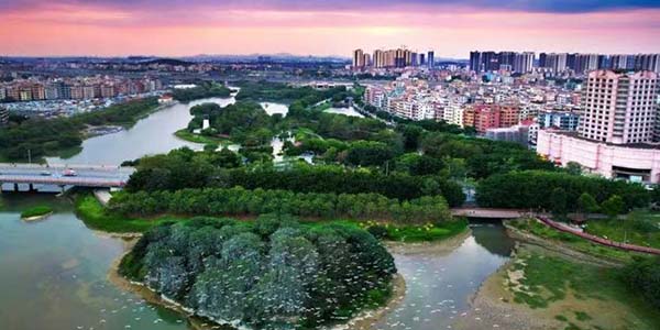 花都區全面推進綠美生態建設  繪就“城在園中 人在畫中”新圖景