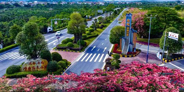 農(nóng)業(yè)農(nóng)村部公布2025年國家鄉(xiāng)村振興示范縣創(chuàng)建名單            廣州花都榜上有名