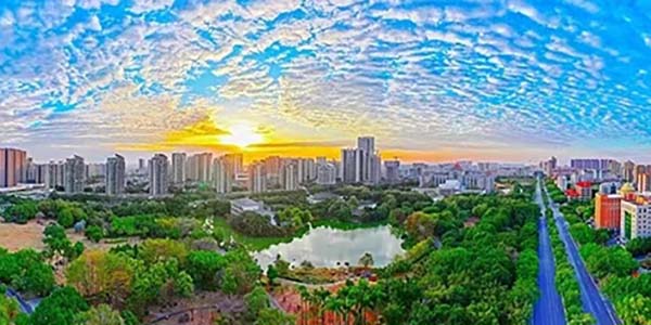 花都區高質量發展大會吹響奮戰“十五五”開局之年“集結號”  政企同心發力 賦能提質增效