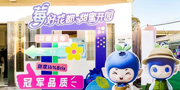 從“一顆小藍莓”到  “億元產業”的花都實踐