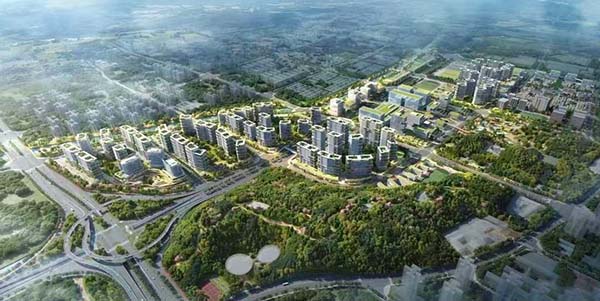 花都區守好自然資源“家底”  助力“百千萬工程”提質增效