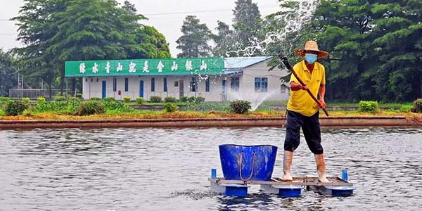 花都漁業交出“綠色答卷”