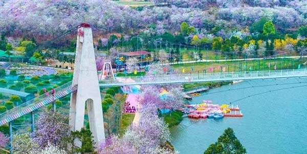 花都兩處賞花勝地火了