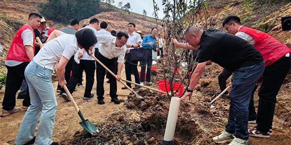 省委社會工作部赴花都開展義務植樹活動